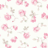 A-Street Prints AST6084 Ribbon Rosa Chateau Rose Loose Roses Wallpaper