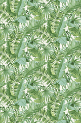 Katie Hunt x A-Street Prints ASTM5047 Tropical Palm Leaf Green Wall Mural