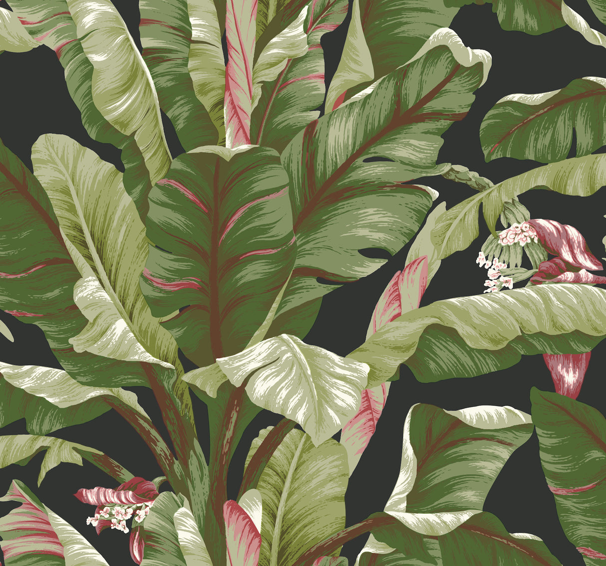 York AT7071 Banana Leaf Black & Red Wallpaper