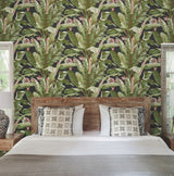 York AT7071 Banana Leaf Black & Red Wallpaper