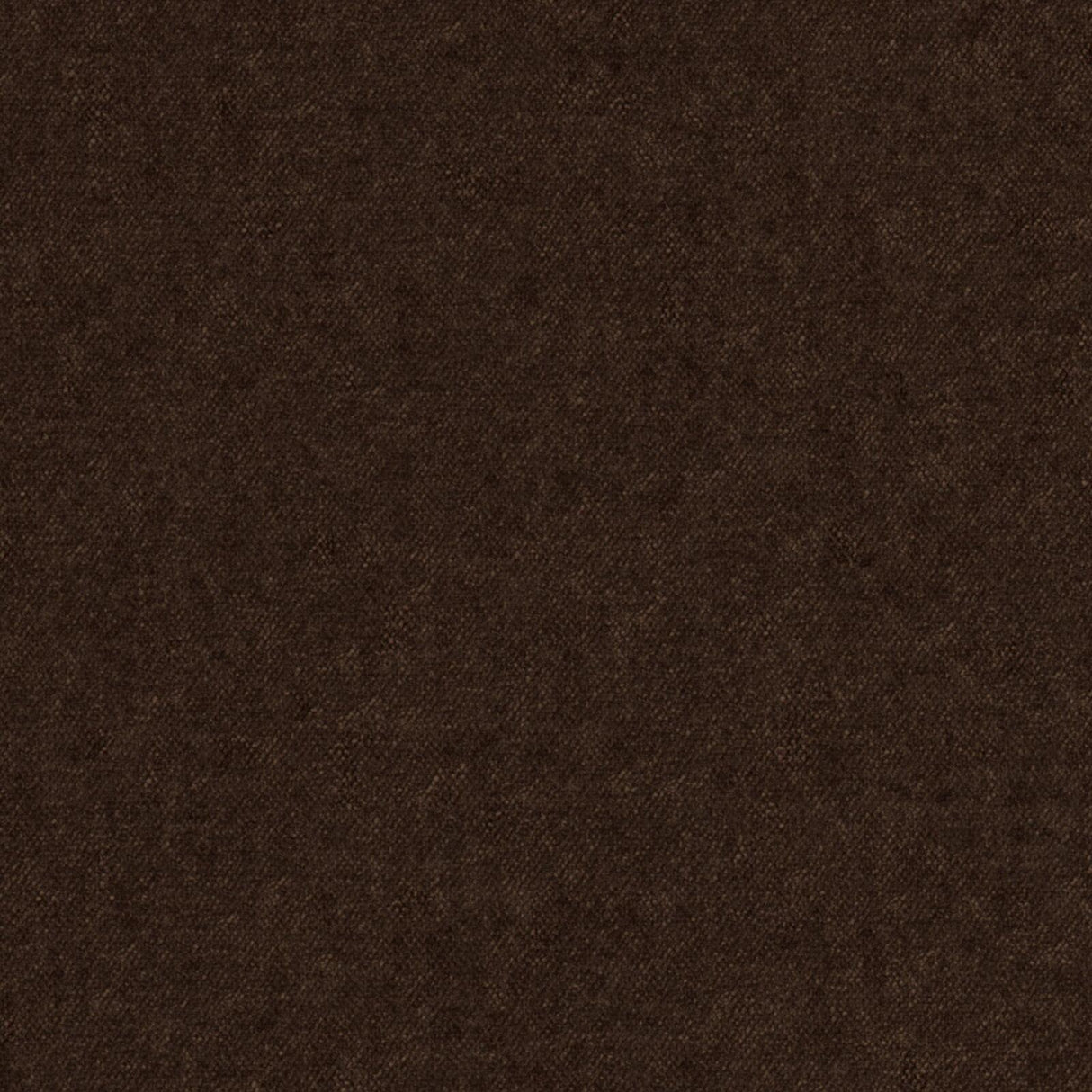 Eade’s # 819 PRALINE