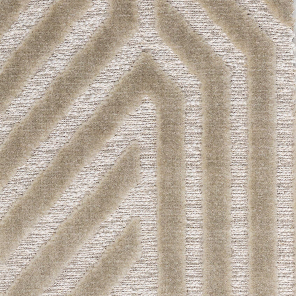 STOUT AVAN-1 AVANTI 1 BEIGE Fabric - Eades Wallpaper & Fabric