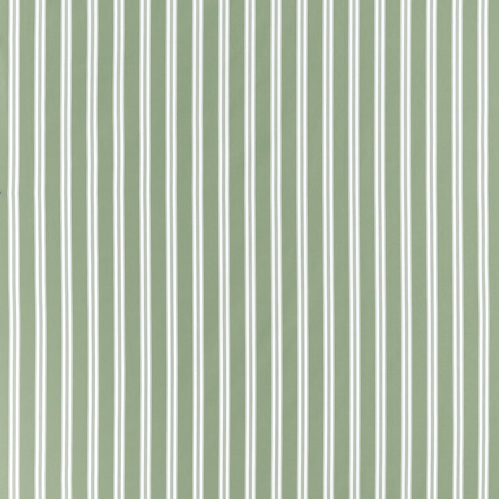 Anna French PAYTON STRIPE AW10703 in Green Fabric - CLERMONT