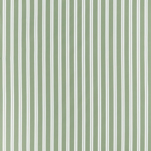 Anna French PAYTON STRIPE AW10703 in Green Fabric - CLERMONT