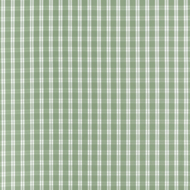 Anna French PAYTON CHECK AW10709 in Green Fabric - CLERMONT 