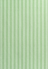 Anna French AW9848 REED STRIPE Green Fabric