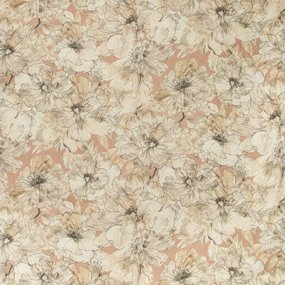 KRAVET COUTURE AYRLIES.17.0 AYRLIES BLUSH/NATURAL Fabric - Eade's Wallpaper