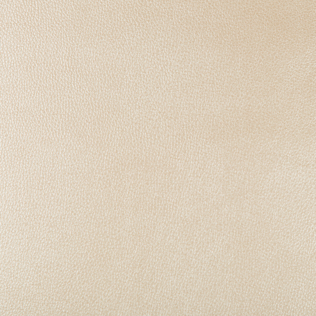 KRAVET DESIGN AZERI.116.0 KRAVET DESIGN AZERI-116 Fabric - Eade's Wallpaper