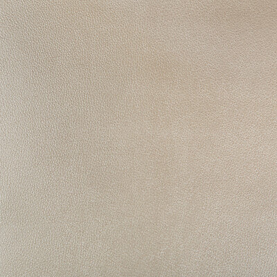 KRAVET DESIGN AZERI.16.0 KRAVET DESIGN AZERI-16 Fabric - Eade's Wallpaper