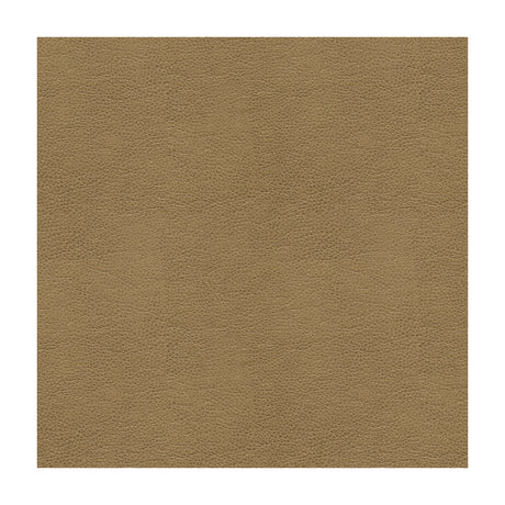 KRAVET CONTRACT BALARA.106.0 KRAVET CONTRACT BALARA-106 Fabric - Eade's Wallpaper