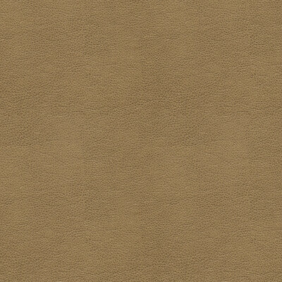 KRAVET CONTRACT BALARA.106.0 KRAVET CONTRACT BALARA-106 Fabric - Eade's Wallpaper