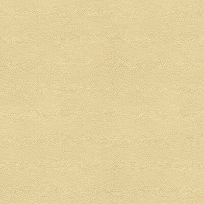 KRAVET CONTRACT BALARA.116.0 KRAVET CONTRACT BALARA-116 Fabric - Eade's Wallpaper