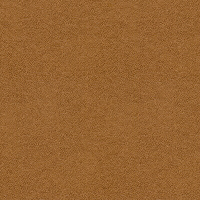 KRAVET CONTRACT BALARA.16.0 KRAVET CONTRACT BALARA-16 Fabric - Eade's Wallpaper