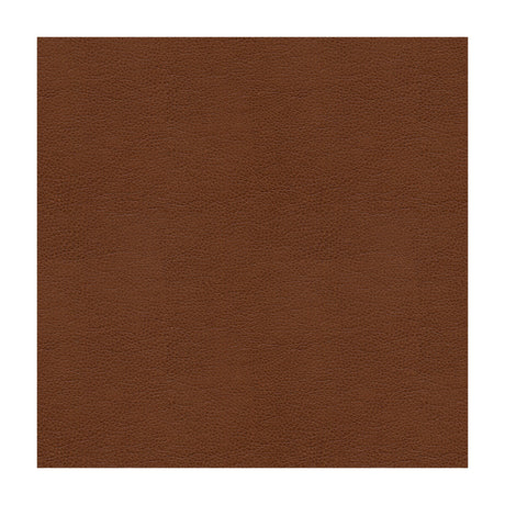 KRAVET CONTRACT BALARA.6.0 KRAVET CONTRACT BALARA-6 Fabric - Eade's Wallpaper