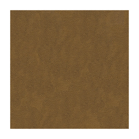 KRAVET CONTRACT BALARA.616.0 KRAVET CONTRACT BALARA-616 Fabric - Eade's Wallpaper