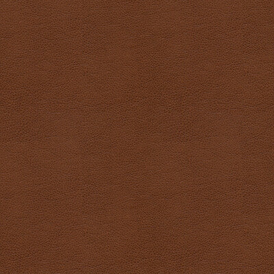 KRAVET CONTRACT BALARA.6.0 KRAVET CONTRACT BALARA-6 Fabric - Eade's Wallpaper