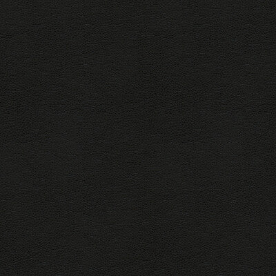 KRAVET CONTRACT BALARA.8.0 KRAVET CONTRACT BALARA-8 Fabric - Eade's Wallpaper