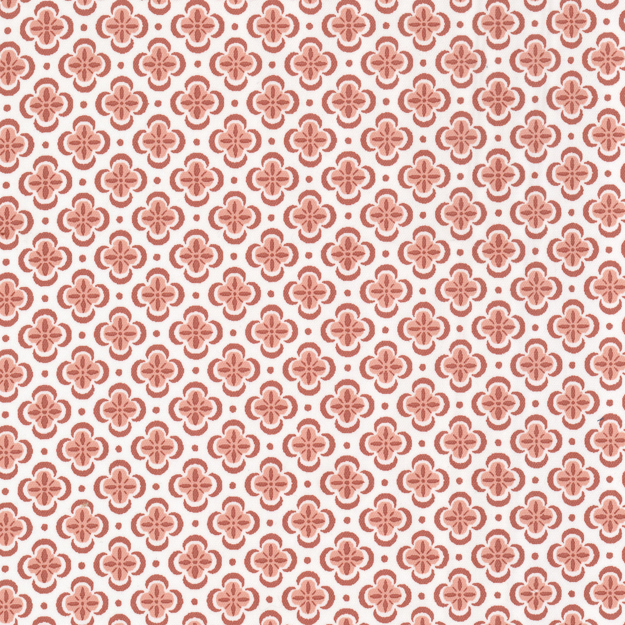 Eade's BASI-2-sample CARNATION