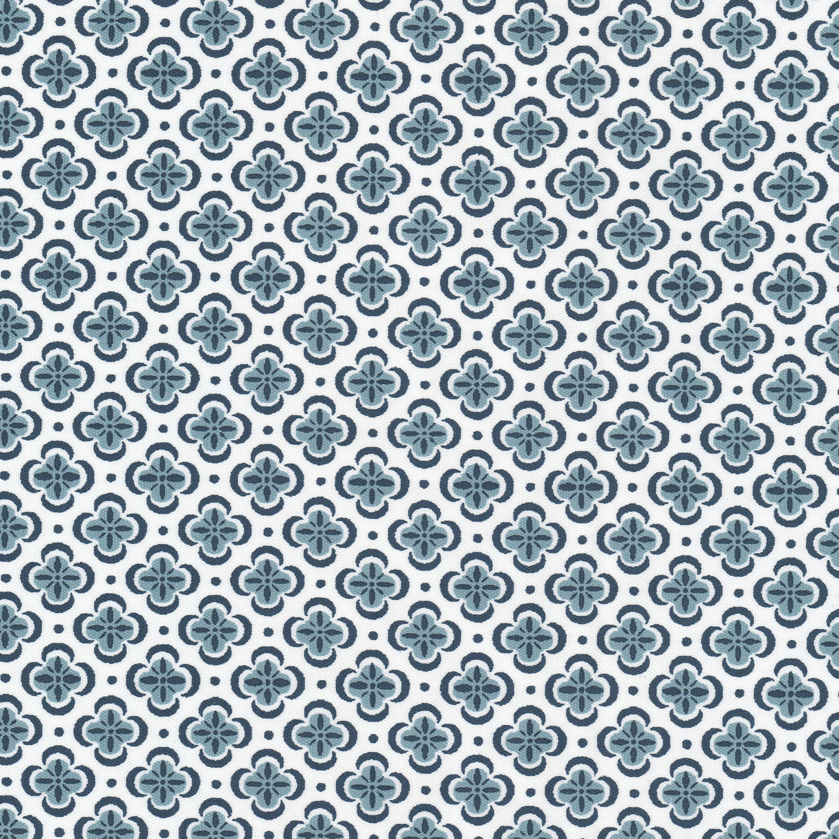 Eade's BASI-5-sample DENIM