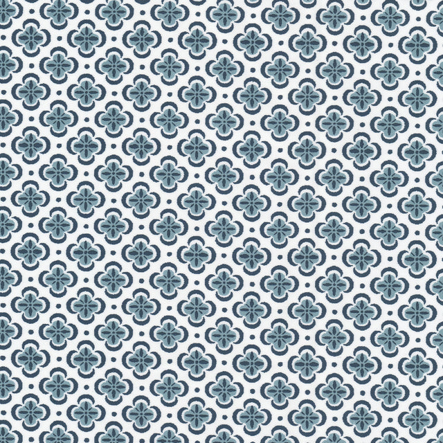 Eade's BASI-5-sample DENIM