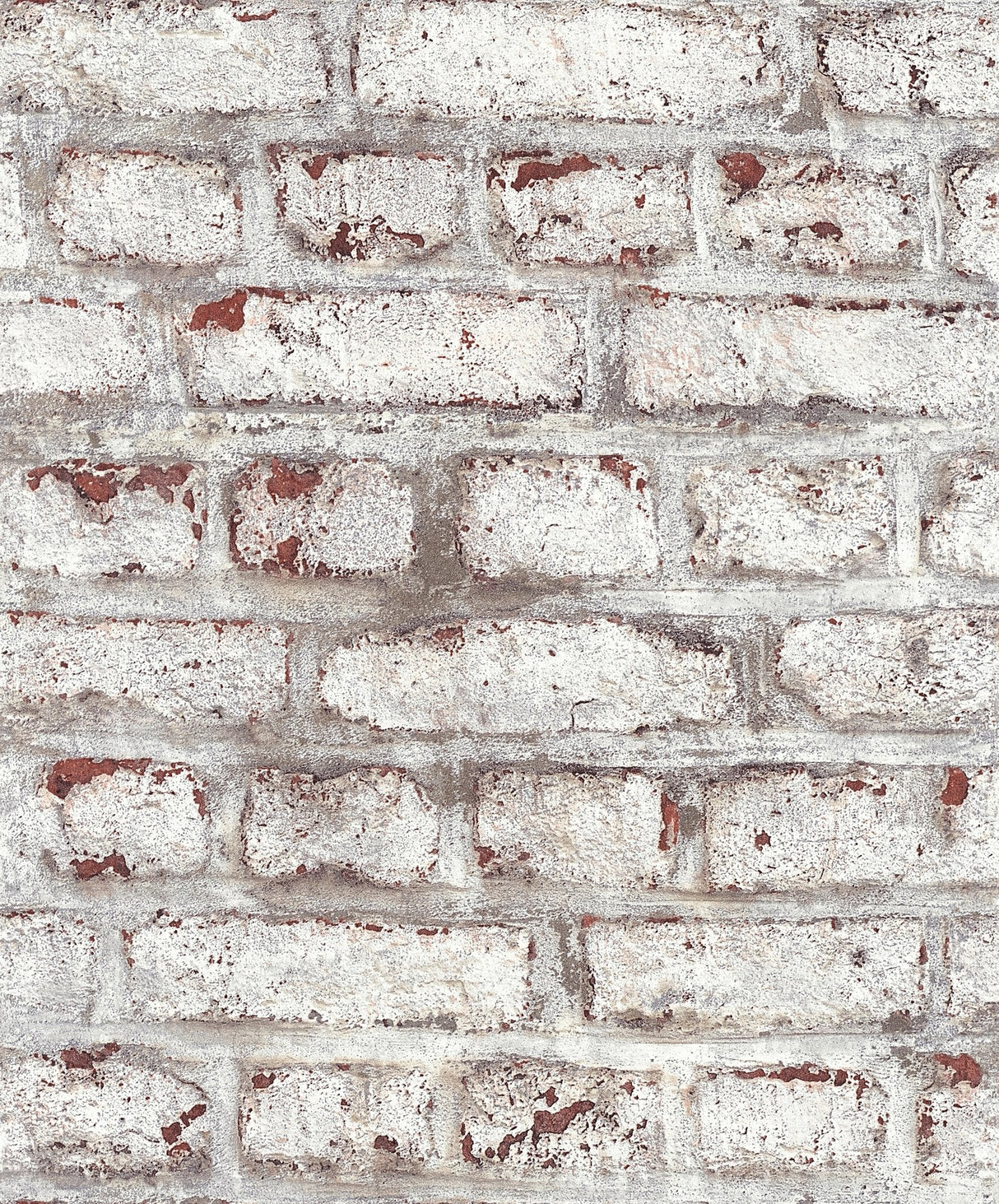 Eade's BB51101-sample White