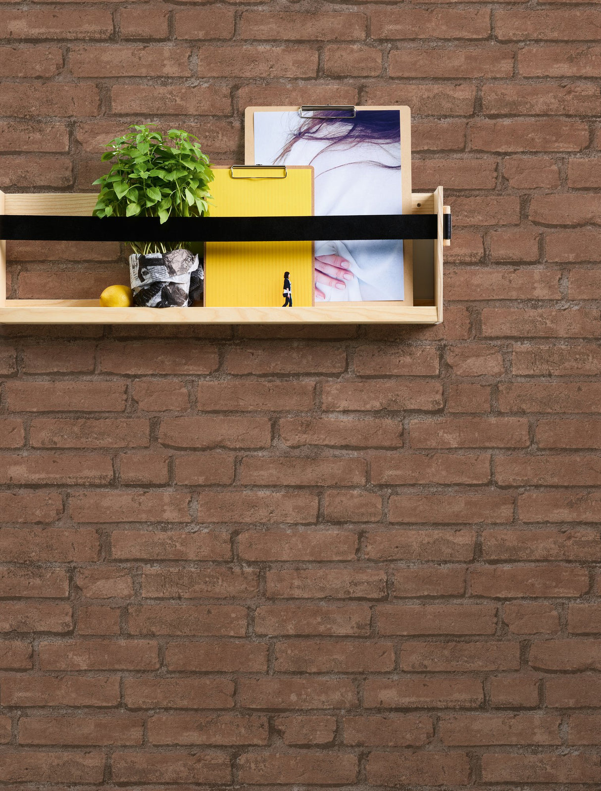 Eade's BB51108-sample Red