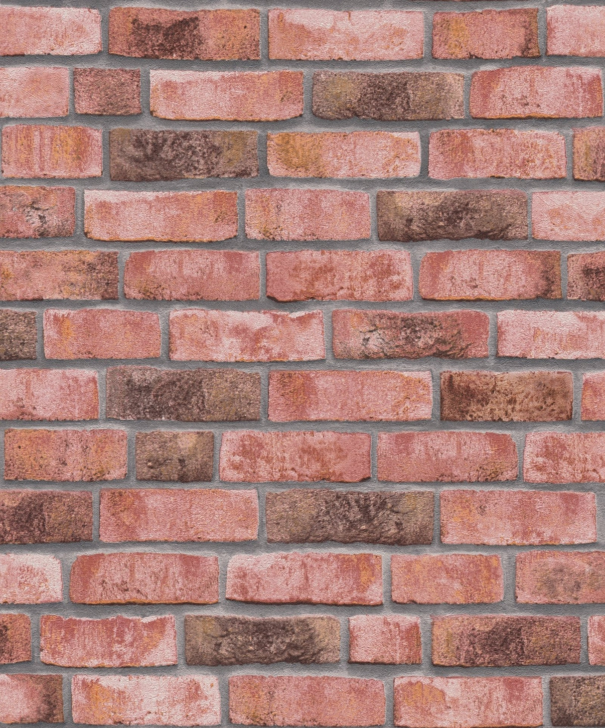 Eade's BB51109-sample Pink