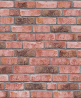 Eade's BB51109-sample Pink