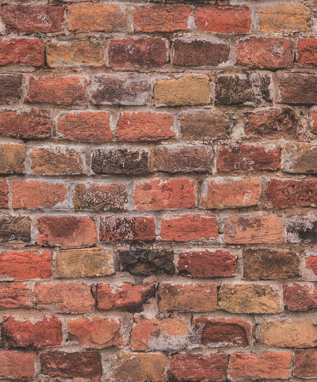 Eade's BB51116-sample Bronze Brown