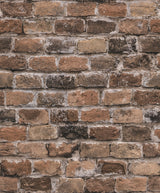 Eade's BB51117-sample Bronze Brown