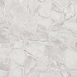 Galerie BB51139 Grey White Petrified Paradise Motif - Eade's Wallpaper