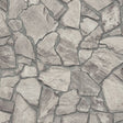 Galerie BB51140 Grey Petrified Paradise Motif - Eade's Wallpaper