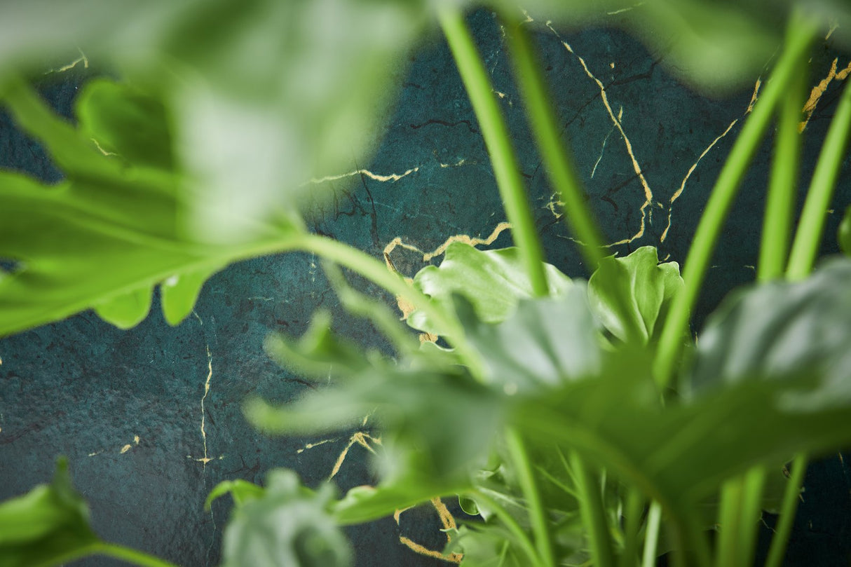 Eade's BB51159-sample Silver Grey