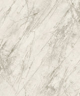 Eade's BB51163-sample Cream