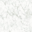 Galerie BB51164 Grey White Gentle Beauty Motif - Eade's Wallpaper