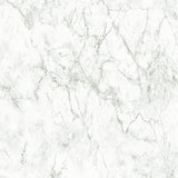 Galerie BB51164 Grey White Gentle Beauty Motif - Eade's Wallpaper
