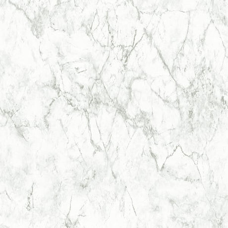 Galerie BB51164 Grey White Gentle Beauty Motif - Eade's Wallpaper
