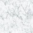 Galerie BB51165 Grey White Gentle Beauty Motif - Eade's Wallpaper