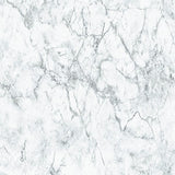 Galerie BB51165 Grey White Gentle Beauty Motif - Eade's Wallpaper