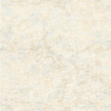 Chesapeake BBC16174 Mapped Blue Charts Wallpaper Wallpaper
