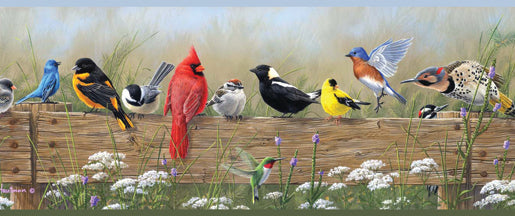 Chesapeake BBC44671B Clarence Green Songbird Menagerie Portrait Border