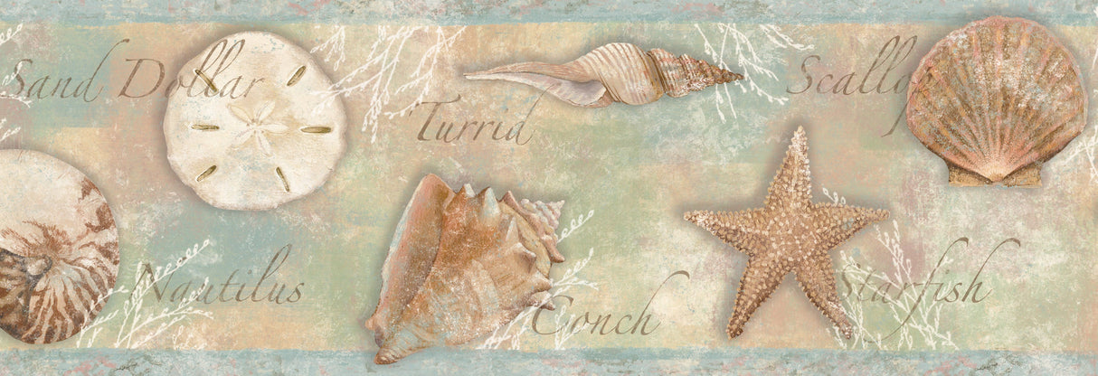 Chesapeake BBC46051B Quinten Blue Seashells Toss Border