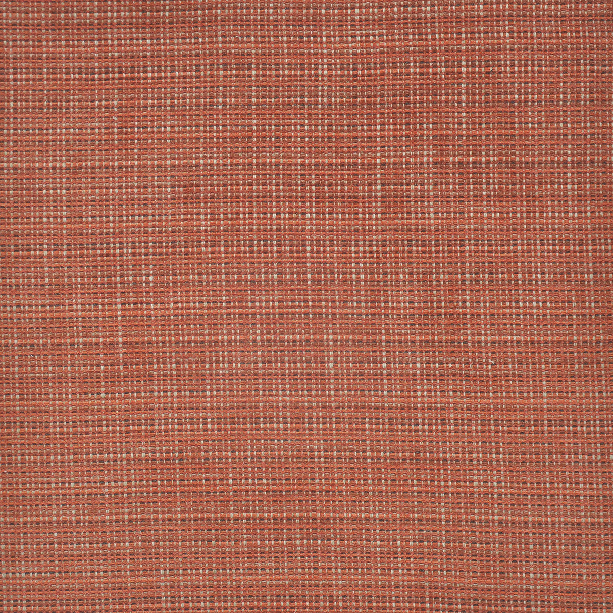 Eade’s # 804 BLOOD ORANGE