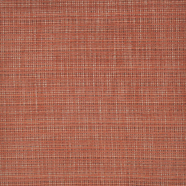 Eade’s # 804 BLOOD ORANGE