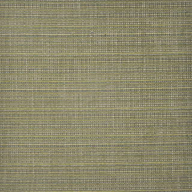 Eade’s # 929 OLIVE
