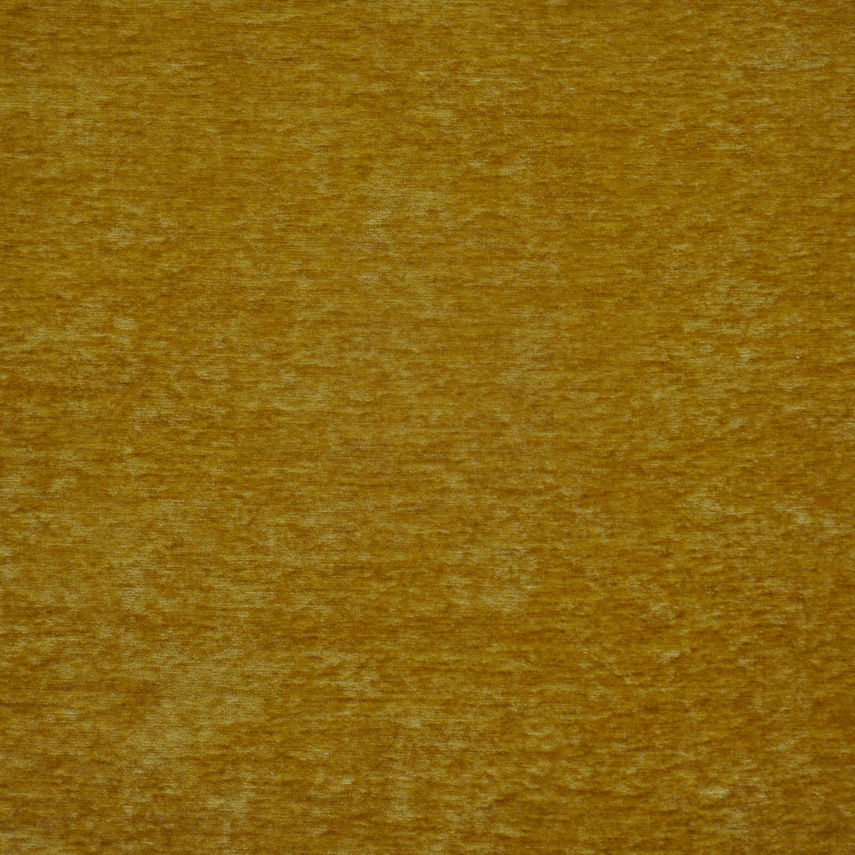 Eade’s # 733 GOLD