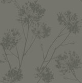 Seabrook Designs BD50205 Wallpaper - Eade's Wallpaper & Fabric
