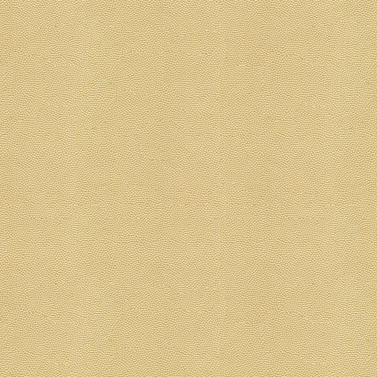 KRAVET COUTURE BEAUTYMARK.1116.0 BEAUTYMARK SAND Fabric - Eade's Wallpaper