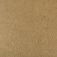 KRAVET DESIGN BEHOLDER.16.0 KRAVET DESIGN BEHOLDER-16 Fabric - Eade's Wallpaper