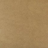 KRAVET DESIGN BEHOLDER.16.0 KRAVET DESIGN BEHOLDER-16 Fabric - Eade's Wallpaper